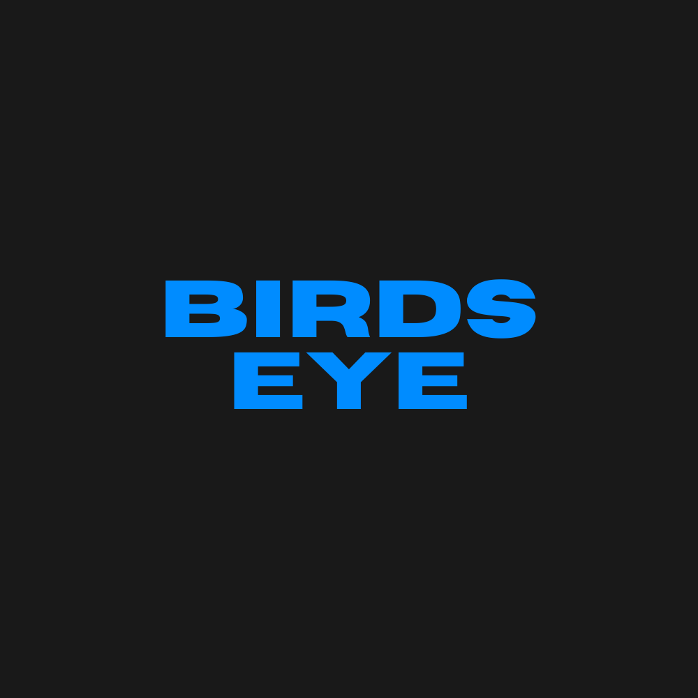 Birds Eye Productions